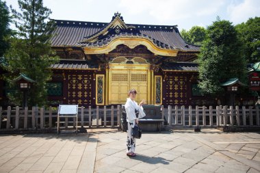 İnsanlar Tosho-gu tapınak üzerinde 15 Ağustos 2015 yılında Nikko, Japonya ziyaret edin