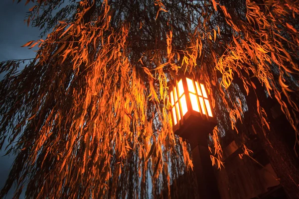 Kiyomizu-dera, resmi olarak Otowa-san Kiyomizu-dera silinmez. — Stok fotoğraf