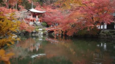 Sonbahar sezonu, bırak Tapınağı Japonya'da kırmızı rengini değiştirmek.