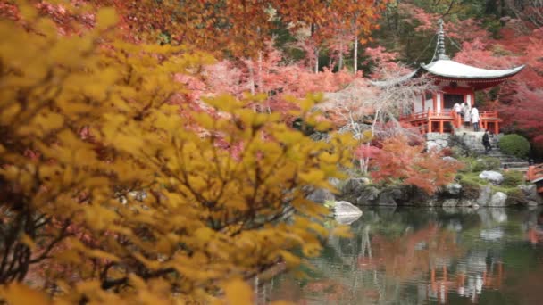 Herfst seizoen, het verlof kleur van rood in tempel japan wijzigen. — Stockvideo