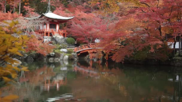 Herfst seizoen, het verlof kleur van rood in tempel japan wijzigen. — Stockvideo