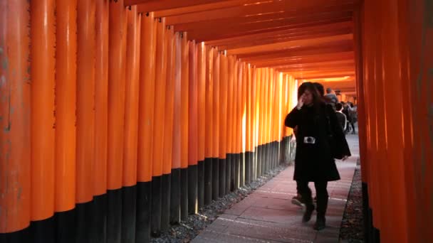 Kyoto, Japonya - 26 Kasım 2013: fushimi Inari taisha tapınak kyoto, Japonya — Stok video