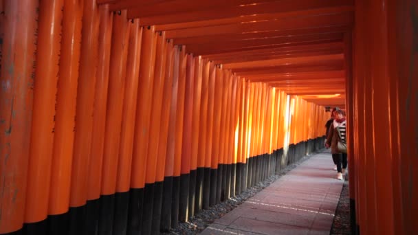 Кіото, Японія - 26 листопада 2013: fushimi-inari taisha shrine в Кіото, Японія — стокове відео