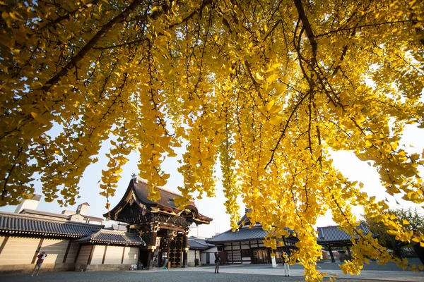 Осінній сезон Нісі Honganji храм у Кіото — стокове фото