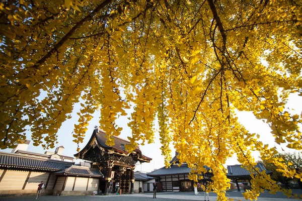 Höstsäsongen Nishi Honganji tempel i Kyoto — Stockfoto