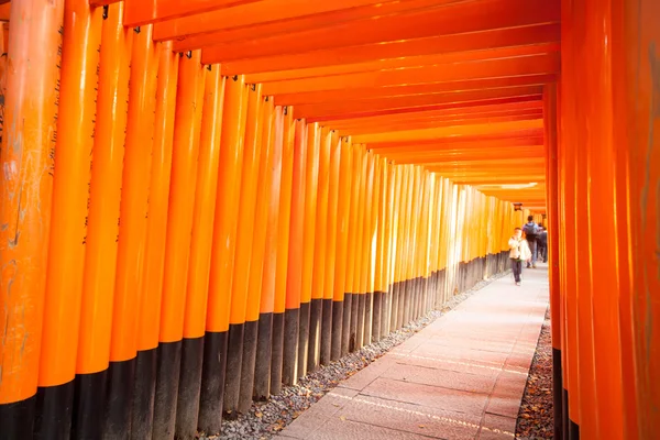 Torii gates in Fushimi Inari Shrine, Kyoto, Japan — Stock Photo, Image