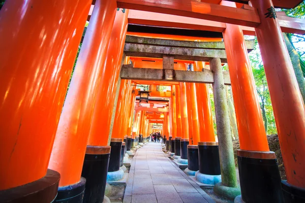 日本京都富塞纳里神龛的托里门 — 图库照片