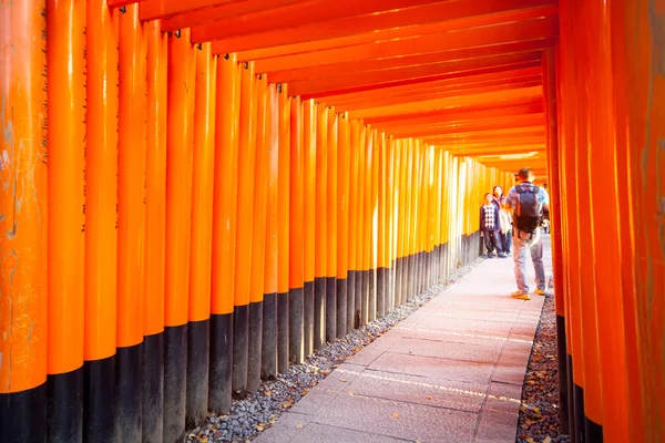 Puertas torii en Fushimi Inari Shrine, Kyoto, Japón — Foto de Stock