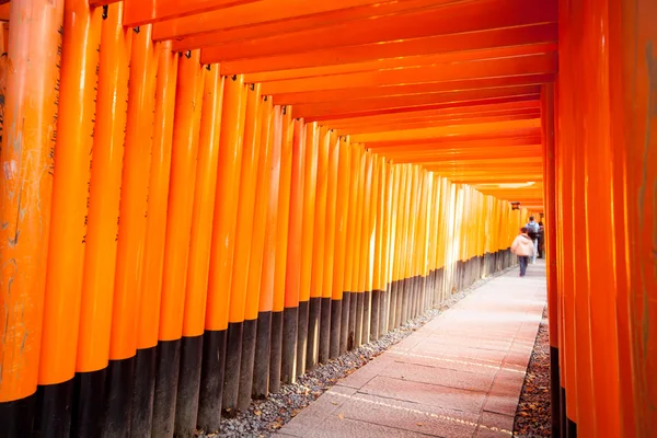 Torii gates in Fushimi Inari Shrine, Kyoto, Japan — Stock Photo, Image