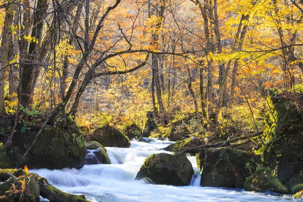 Garganta del Oirase en Towada, Aomori, Japón — Foto de Stock