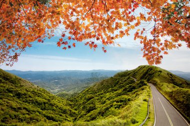 sonbahar ormandaki yol görüntüsü. Sonbahar manzara