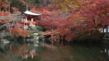 Bırak Tapınağı Japonya'da kırmızı rengini değiştirmek