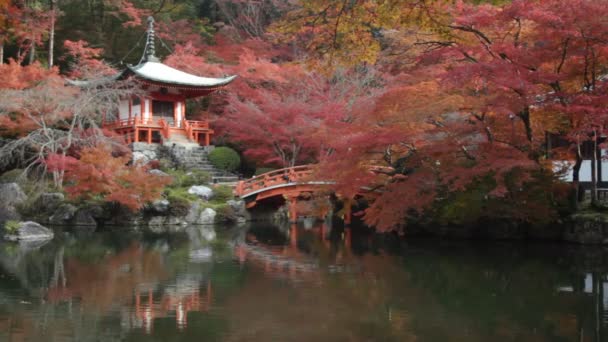 Pozostaw zmiana koloru czerwonego w świątyni Japonii — Wideo stockowe