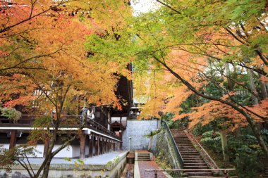 Sonbahar sezonu, Kyoto, Japonya