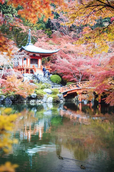 Autumn season,The leave change color of red in Temple japan — Stock Photo, Image