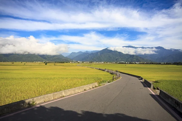 Agradável paddy lugar com agradável céu colud e montanha — Fotografia de Stock