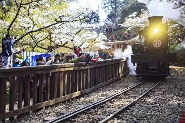 Alişan orman tren Alişan Ulusal doğal alanda spri sırasında