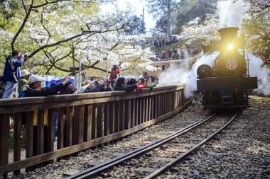 Alişan orman tren Alişan Ulusal doğal alanda spri sırasında