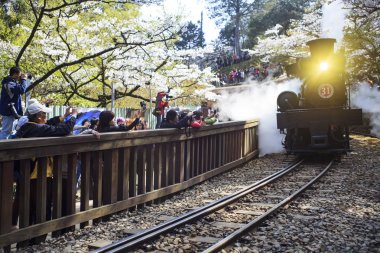 Alişan orman tren Alişan Ulusal doğal alanda spri sırasında