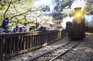 Alişan orman tren Alişan Ulusal doğal alanda spri sırasında