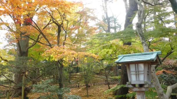 Estanque Kasumiga-ike en Kenrokuen Garden en Kanazawa — Vídeos de Stock