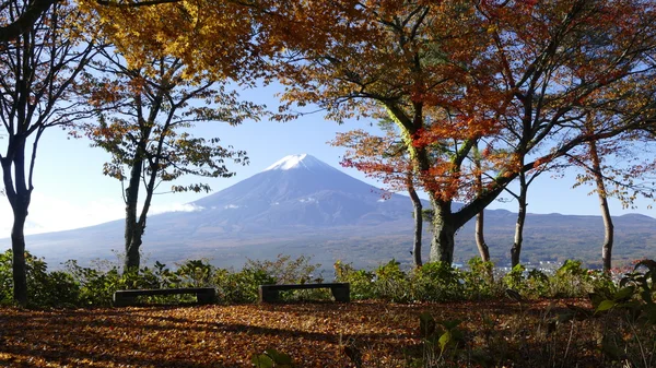 Осенний сезон горы Фудзи — стоковое фото