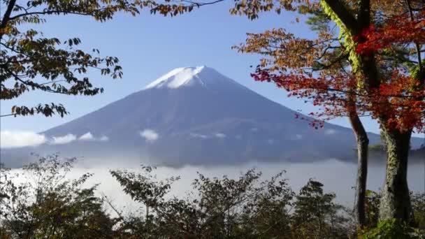 金秋时节的富士山 — 图库视频影像