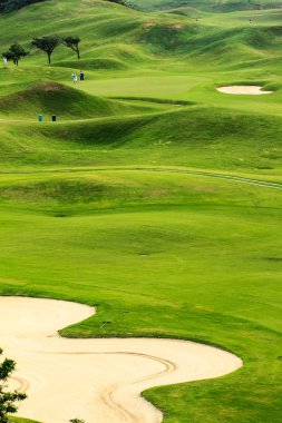 güzel arka plan rengi, Tayvan ile Golf Sahası