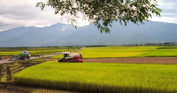 Zaman atlamalı paddy çiftlik ve ülke yolun Chishang İlçesi, Taitung County, Tayvan, Asya'nın kırsal manzara — Stok video