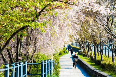  Kyoto stree görünümü arka planda s olarak perspektif görünümünü