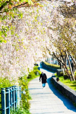  Kyoto stree görünümü arka planda s olarak perspektif görünümünü