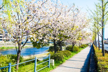 Kyoto stree görünümü arka planda s olarak perspektif görünümünü