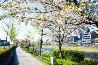  Kyoto stree görünümü arka planda s olarak perspektif görünümünü