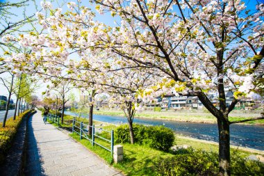  Kyoto stree görünümü arka planda s olarak perspektif görünümünü