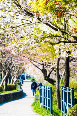  Kyoto stree görünümü arka planda s olarak perspektif görünümünü