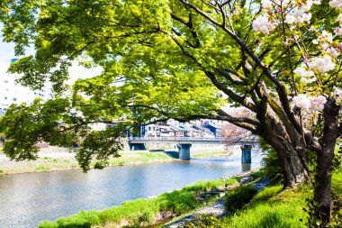  Kyoto stree görünümü arka planda s olarak perspektif görünümünü