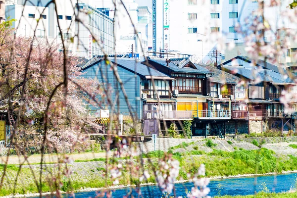 S에서 배경으로 교토 stree 뷰의 관점 보기 — 스톡 사진