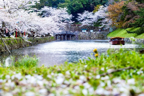 Die perspektivische Ansicht der Kyoto-Baum-Ansicht als Hintergrund in den s — Stockfoto