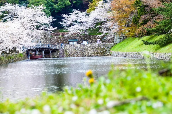 The perspective view of kyoto stree view as background in the s — Stock Photo, Image