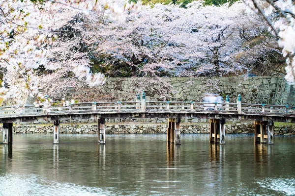 The perspective view of kyoto stree view as background in the s — Stock Photo, Image