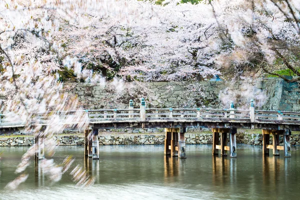 Die perspektivische Ansicht der Kyoto-Baum-Ansicht als Hintergrund in den s — Stockfoto