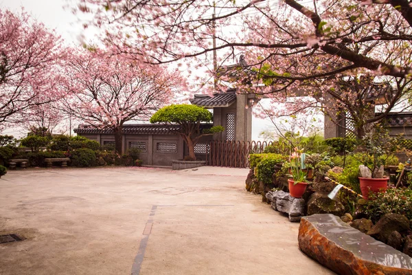 Tempel Oriental seizoen van de kersenbloesem in Taipei, Taiwan — Stockfoto