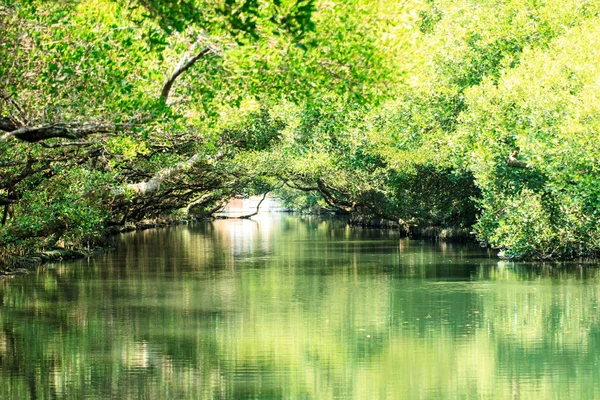 Sihcao Oe zöld alagút State Park, Tainan, Tajvan — Stock Fotó