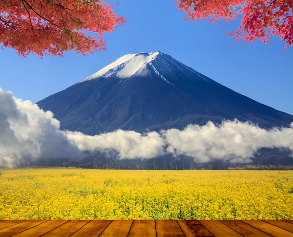 Beautiful mountain with nice maple and flower — Stock Photo, Image