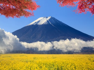 görüntü güzel fuji Dağı Japonya