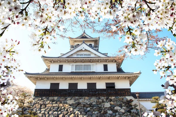 Image of beautiful sakura seasnon in Kyoto, Japan — Stock Photo, Image