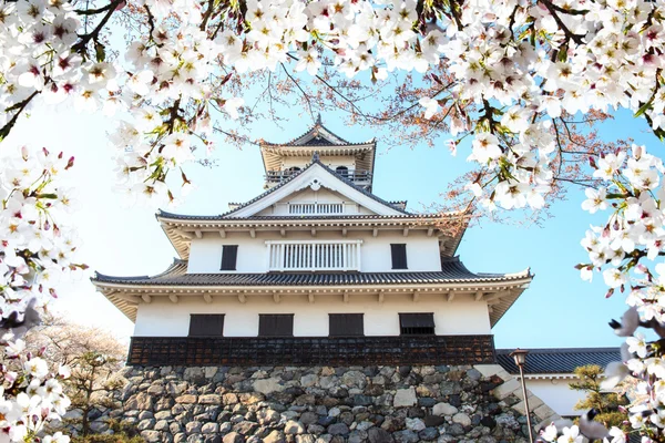 Obrázek krásné sakura seasnon v Kjótu, Japonsko — Stock fotografie