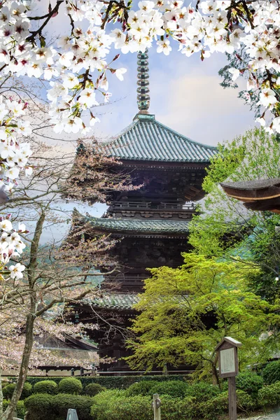 Obrázek krásné sakura seasnon v Kjótu, Japonsko — Stock fotografie