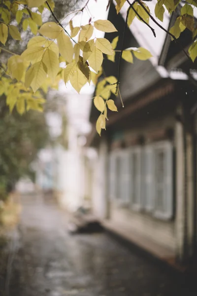 Regnerischer Tag großer dof 1,2 — Stockfoto