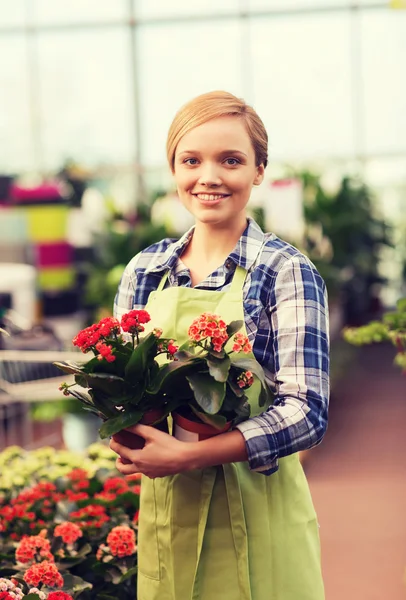 Glückliche Frau mit Blumen im Gewächshaus — Stockfoto